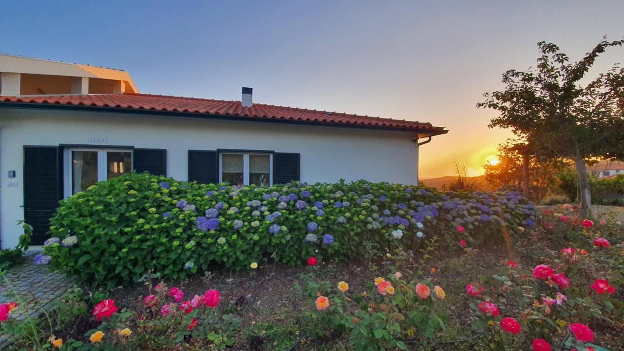 Coja Mountain Perch Villa Vinho  Exterior photo