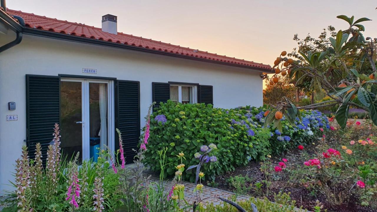 Coja Mountain Perch Villa Vinho  Exterior photo