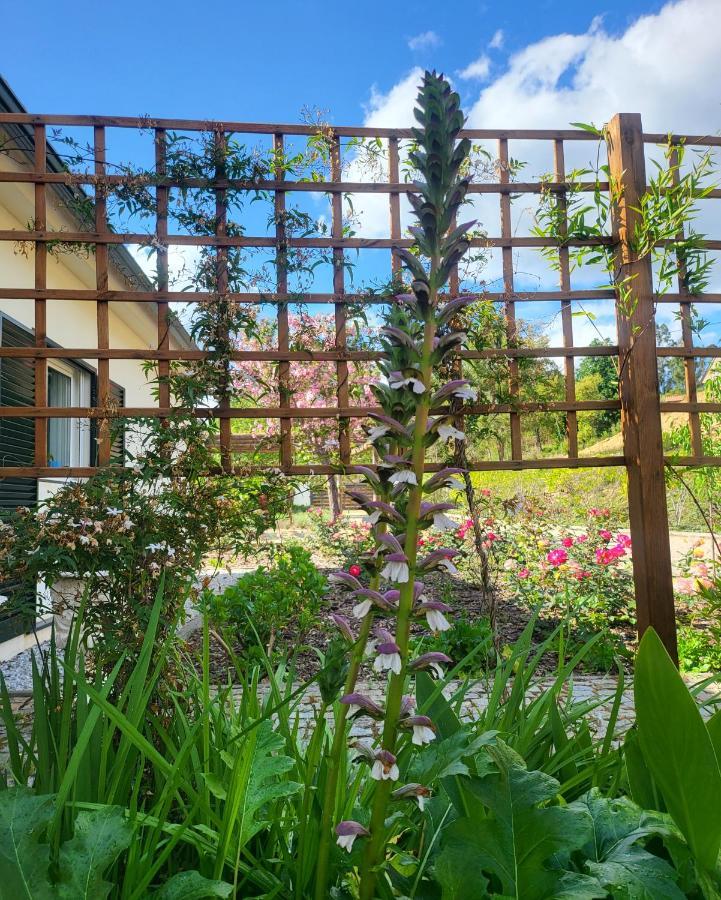 Coja Mountain Perch Villa Vinho  Exterior photo