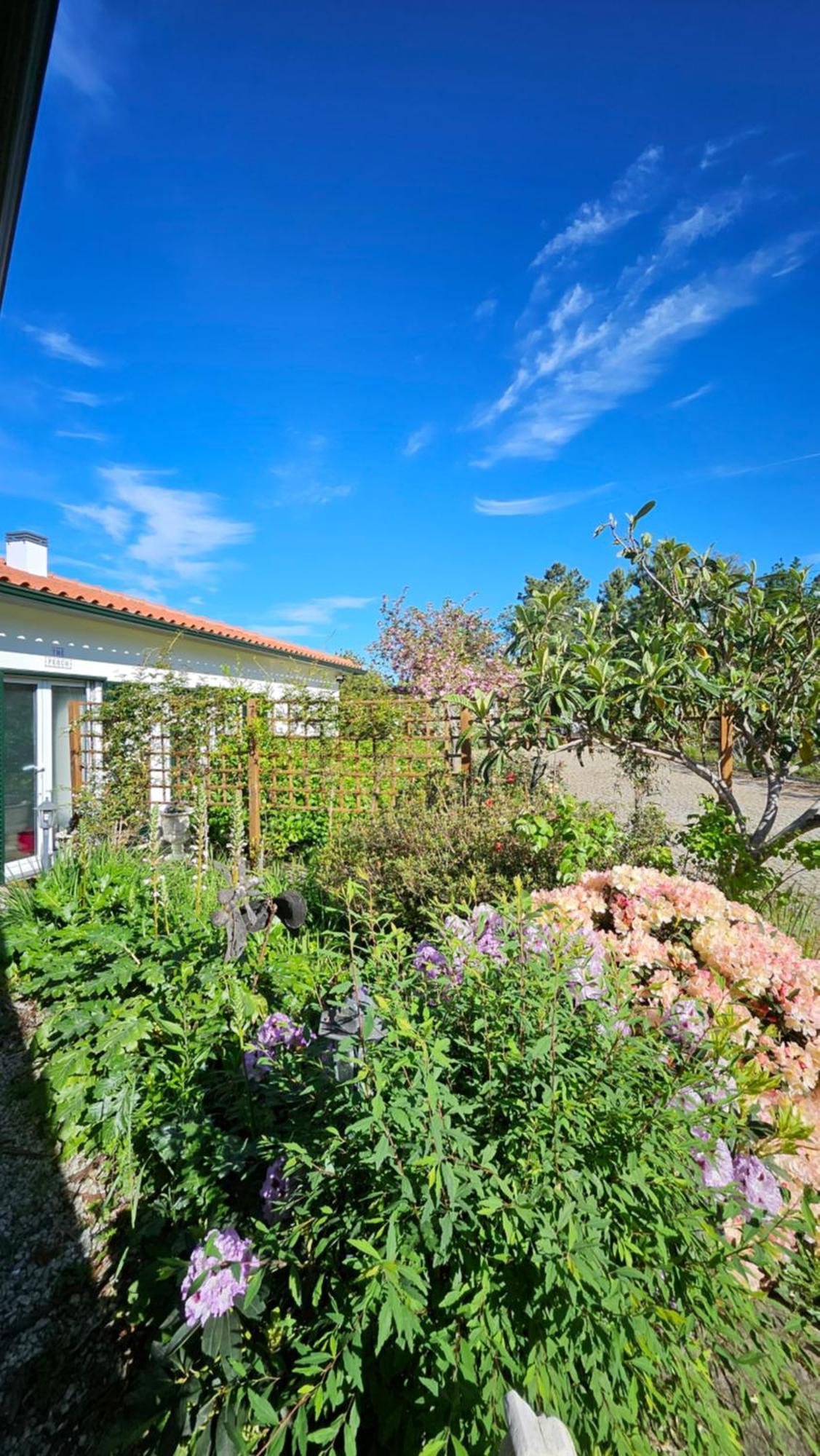 Coja Mountain Perch Villa Vinho  Exterior photo