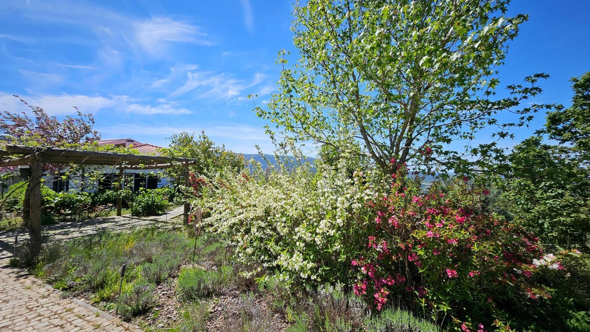 Coja Mountain Perch Villa Vinho  Exterior photo